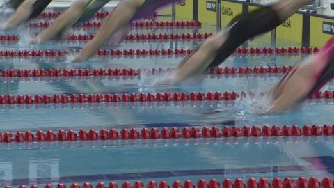 Swimmers diving into pool