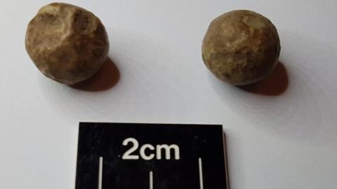 Musket ball