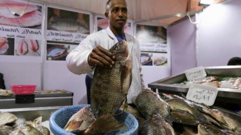 A vendor shows fish at a market selling food at discounted prices, after a devaluation of the Egyptian pound led to a sharp increase in prices, in Giza, Egypt, January 28, 2023