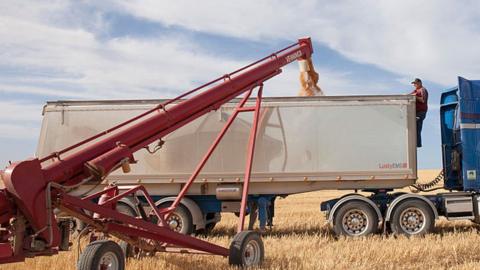 A grain auger at work in Australia