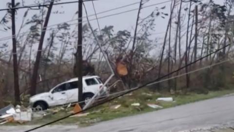 A car apparently crashed through trees that are twisted and bent in this photo