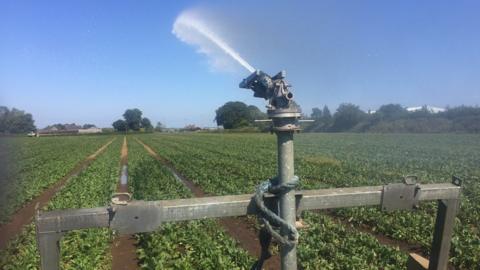 Agri irrigation system
