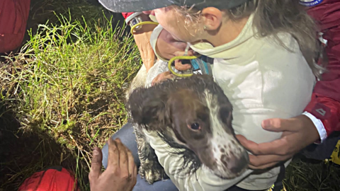 Dog in person's arms after being rescued