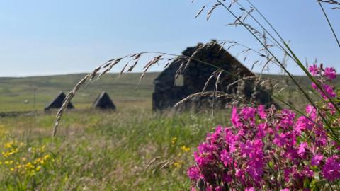 Grasses rise out of bright pink flowers in the bottom right side with a cottage in a field and blue sky above 