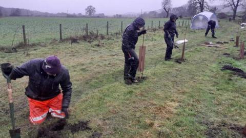A line of volunteers wearing waterproofs are working in wet conditions to plant trees along a wide strip of grassland fringed on one side with a wire fence. In the distance is a silver gazebo.