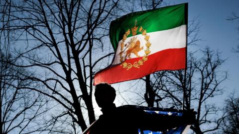 A man silhouetted against the sun coming through some trees holds up the traditional Iranian flag with a golden line in the centre. The flag also has three horizontal stripes of red, white and green