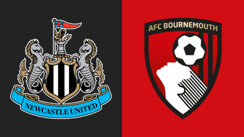 Newcastle and Bournemouth badges