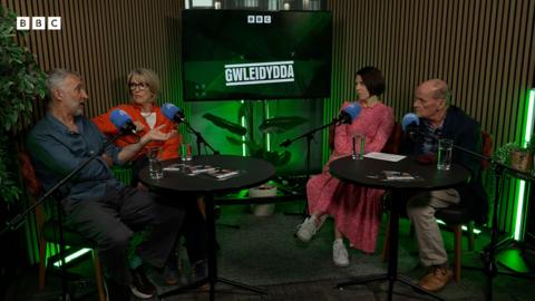 Podlediad Gwleidydda