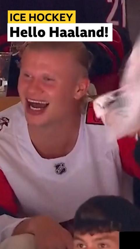 Erling Haaland