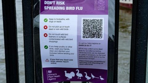 A stock photo of a poster educating people on how to stop the spread of bird flu.