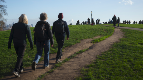 Three people with their backs to the camera are prominent on the left of the photo. They are walking on a walkway with grass either side of it. Dozens of other people are in the background near the top of the photo.