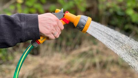 A person with a diamond ring on one of their fingers sprays a hosepipe in a garden.