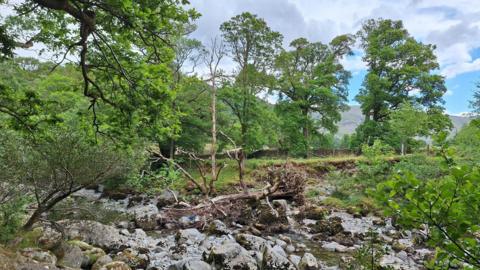 A section of the Upper Derwent River. Many rocks can be seen along the riverbed as the water level is low. It is surrounded by fields and trees. Fells can be seen in the background.