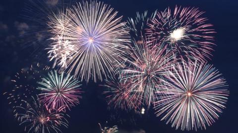 Colourful fireworks bursting into life in a dark sky