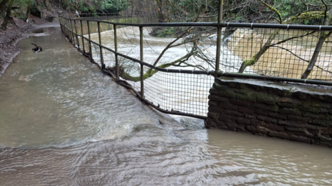 A flooded path lies next to a fast flowing river. A metal fence and a wall separate the two. A spindly tree is growing out of the river bank and on the far side thick foliage can be seen. 