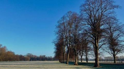 Image of Darley Park. There is a field with some trees on the right.