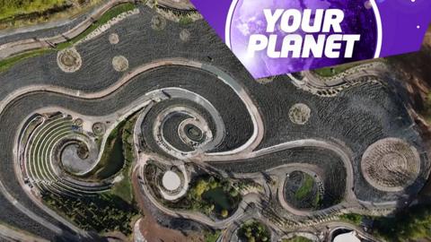 landscaping in the style of a starry night with the Your Planet logo