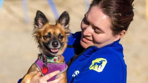Olivia Ball holding Poppy at the beach. She is smiling and looking at the puppy.