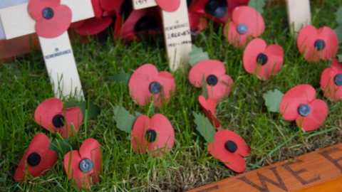 There are red poppies on some green grass and also some small wooden crosses with poppies on the cross.