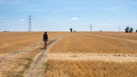 A woman in denim shorts and a top walking through a dry yellow and brown field with blue skies.