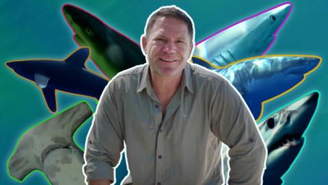 Steve Backshall against a photoshopped background of lots of sharks
