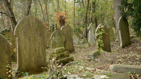 Old gravestones in Highgate Cemetery. You can't see any markings on them any more. They are surrounded by trees and undergrowth.