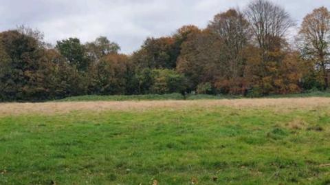 A field is surrounded by mature trees.