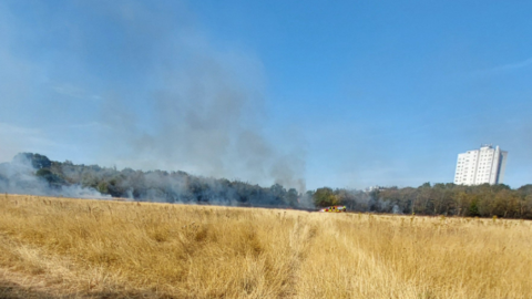 Smoke can be seen drifting in the distance from a dried out field with a tower block appearing from some trees on the right of the image. The sun is shining.