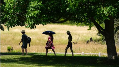 Three people walk in the shade of a tree in a park. Two are wearing hats and one is holding an umbrella to protect them from the Sun