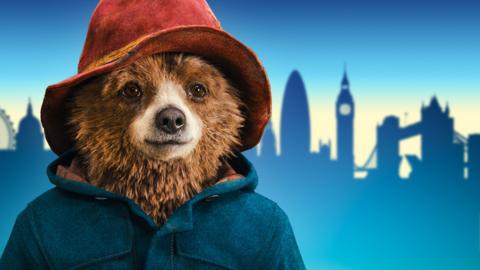 Paddington Bear