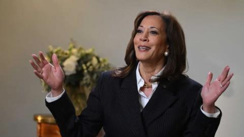 A photograoh of Kamala Harris waving her hands in the air. She is wearing a dark coloured suit with a white shirt.