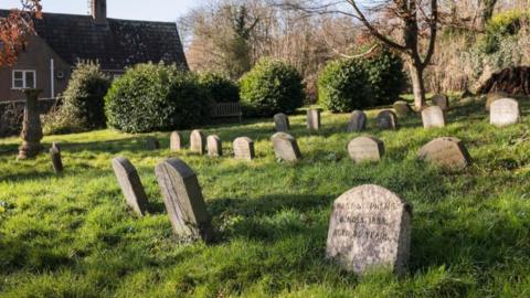 The image shows a graveyard with multiple gravestones. There is green grass and bushes to the left of the image. Behind the gravestones there is a bare tree.