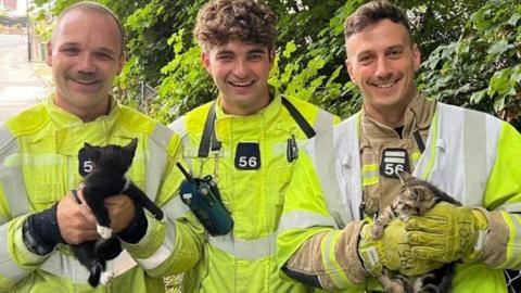 Three young male firefighters stand smiling at the camera wearing yellow high vis long sleeved coats. The firefighter on the left is holding a black and white kitten, while the firefighter on the right holds a tabby kitten