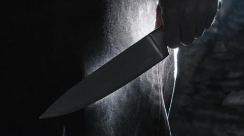 A dark image of a hand holding a knife by their leg