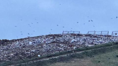 Bellhouse landfill site in Stanway, Colchester