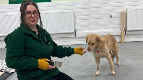 Fundraiser Leanne Bottomley with a dog at Oakwood Dog Rescue