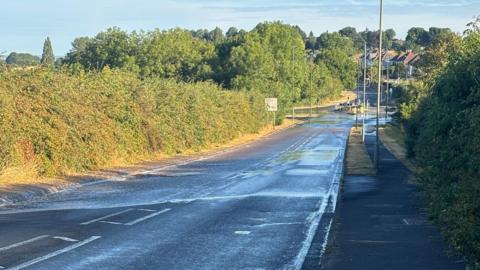 Water pouring under a hedge into a road
