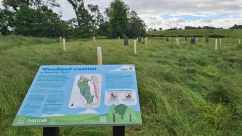 A visitor information sign in the foreground explains the thinking behind the scheme. It shows a map of the river area alongside several lines of text. Across the field, dozens of plastic tubes have been placed in the ground.