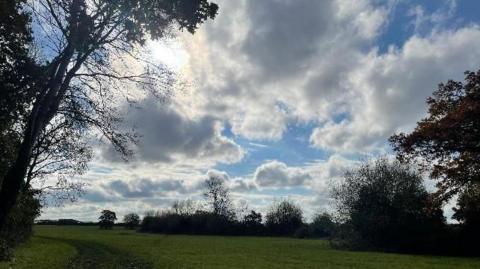 Large fluffy white clouds with tinges of grey on a blue sky above grassland. There is a hedgerow on the horizon with trees to the right and left and a path winding off into the distance on the left, across the grass. The lighting is quite dark.