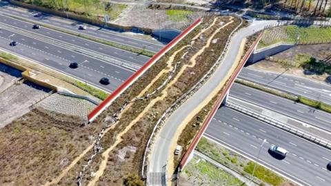 An aerial view of a green bridge, covered in heather and other greenery.