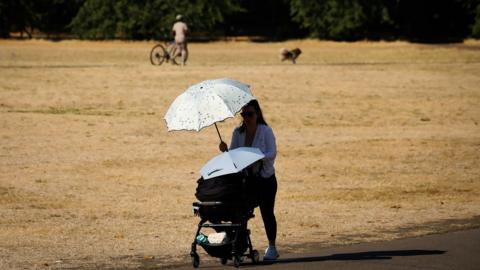 baby in a park underneath an umbrella