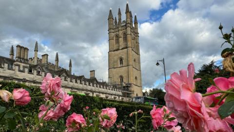 A spire in Oxford stands over a row of buildings, with several pink flowers in the foreground