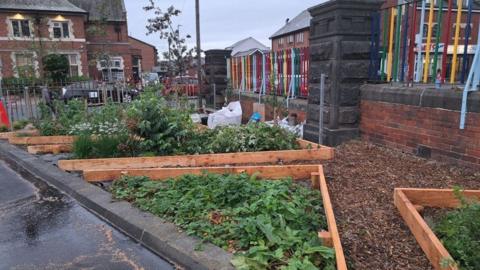 Growing beds at Royal Park