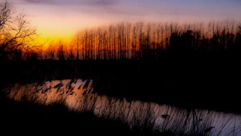 A sunset scene near to a river. The sky is a mixture of red, yellow, orange and blue with some thin clours. Reeds and tall trees can be seen around the river. 