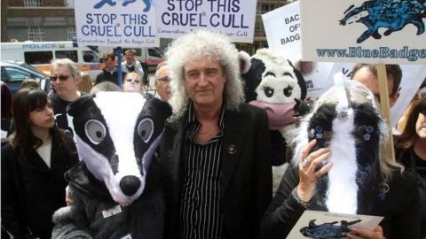 Brian May mewn protest yn erbyn difa moch daear yn 2013