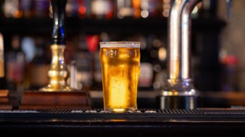 A lager on a bar
