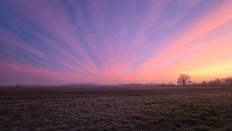 Streaks of pink cloud radiate out from the centre of the horizon into blue and yellow sky. A frosty field is in the foreground.