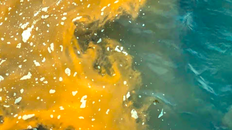 On the right is turquoise water and on the left is a bright yellow/orange bloom of water
