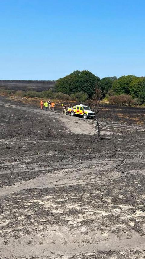 A scene of wildfire across New Forest heathland. A fire vehicle can be seen parked on the scorched ground.