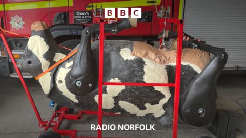 A mechanical cow used for training with Norfolk firefighters